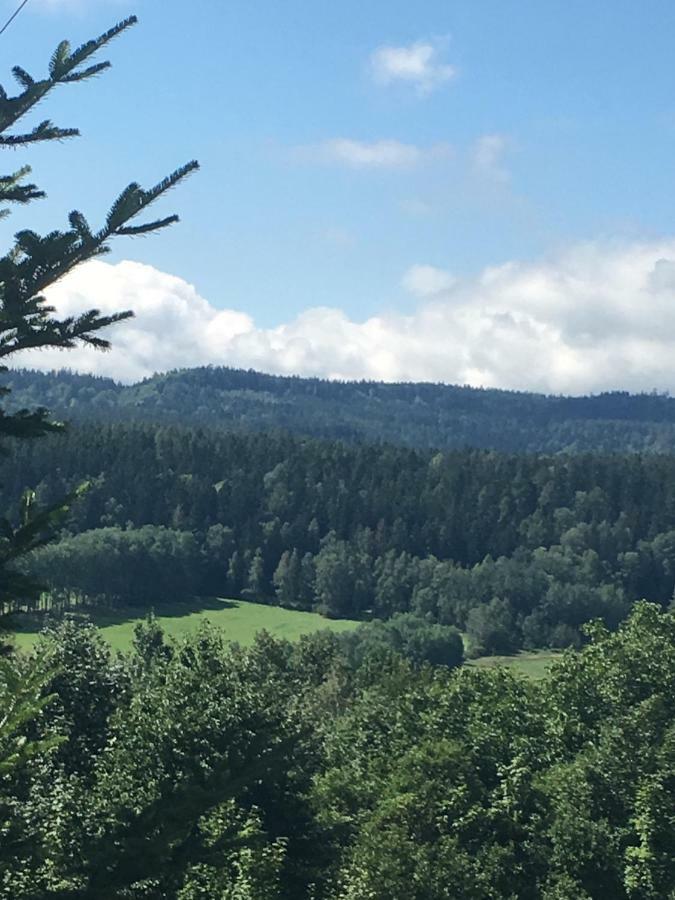 Dom Na Wzgorzu Villa Polanica-Zdroj Dış mekan fotoğraf