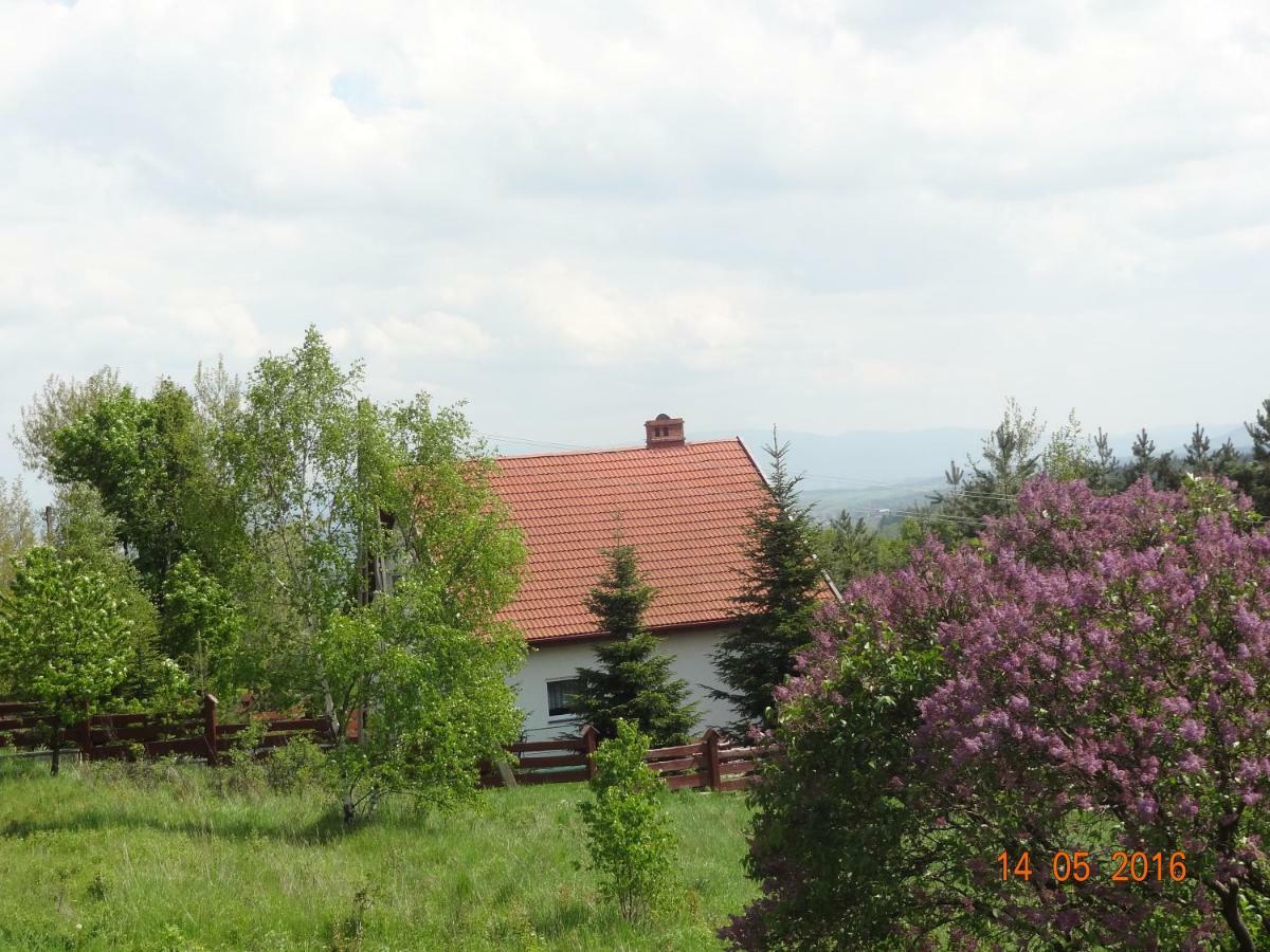 Dom Na Wzgorzu Villa Polanica-Zdroj Dış mekan fotoğraf