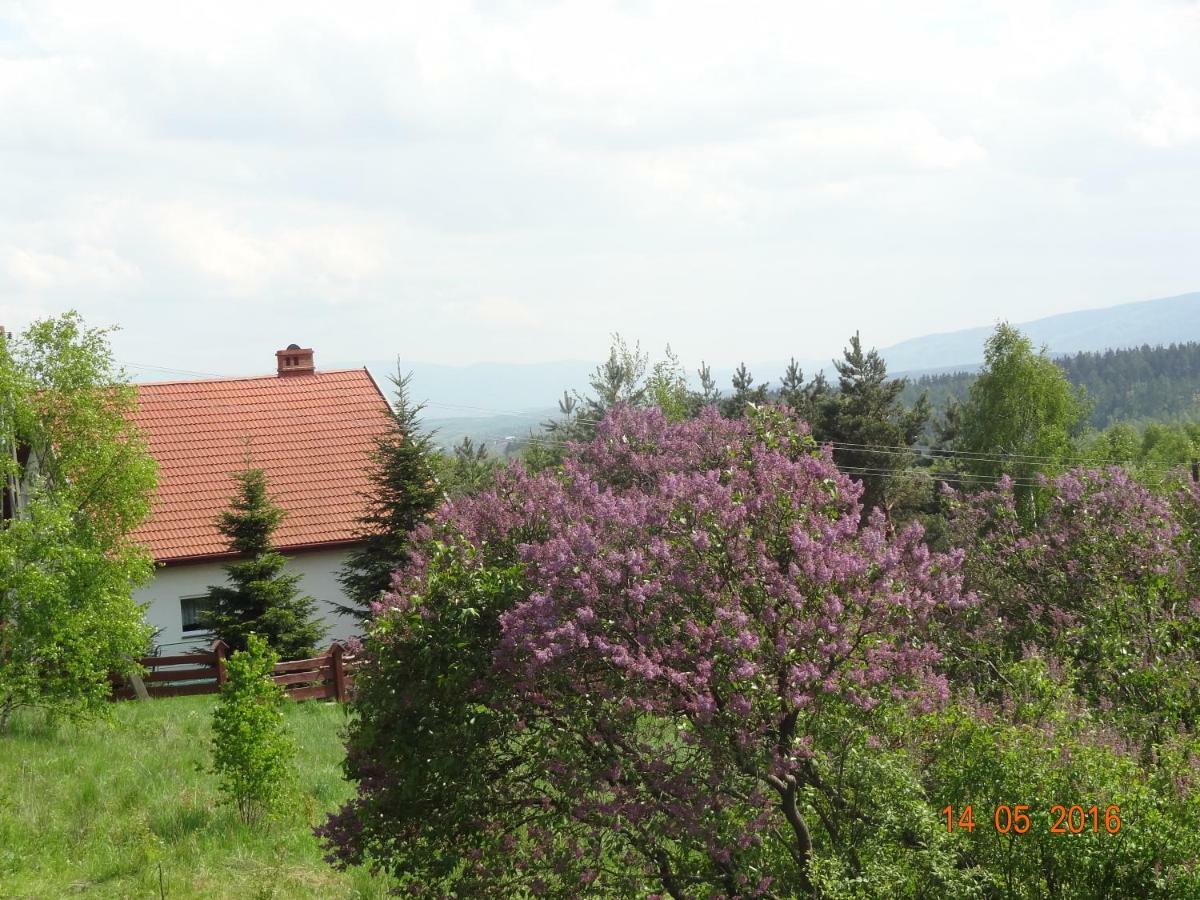 Dom Na Wzgorzu Villa Polanica-Zdroj Dış mekan fotoğraf